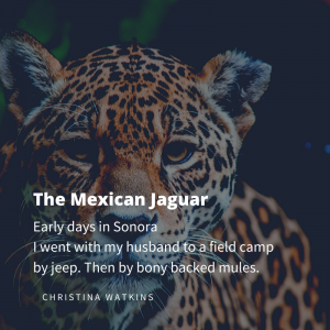 The Jaguar - Christina Watkins