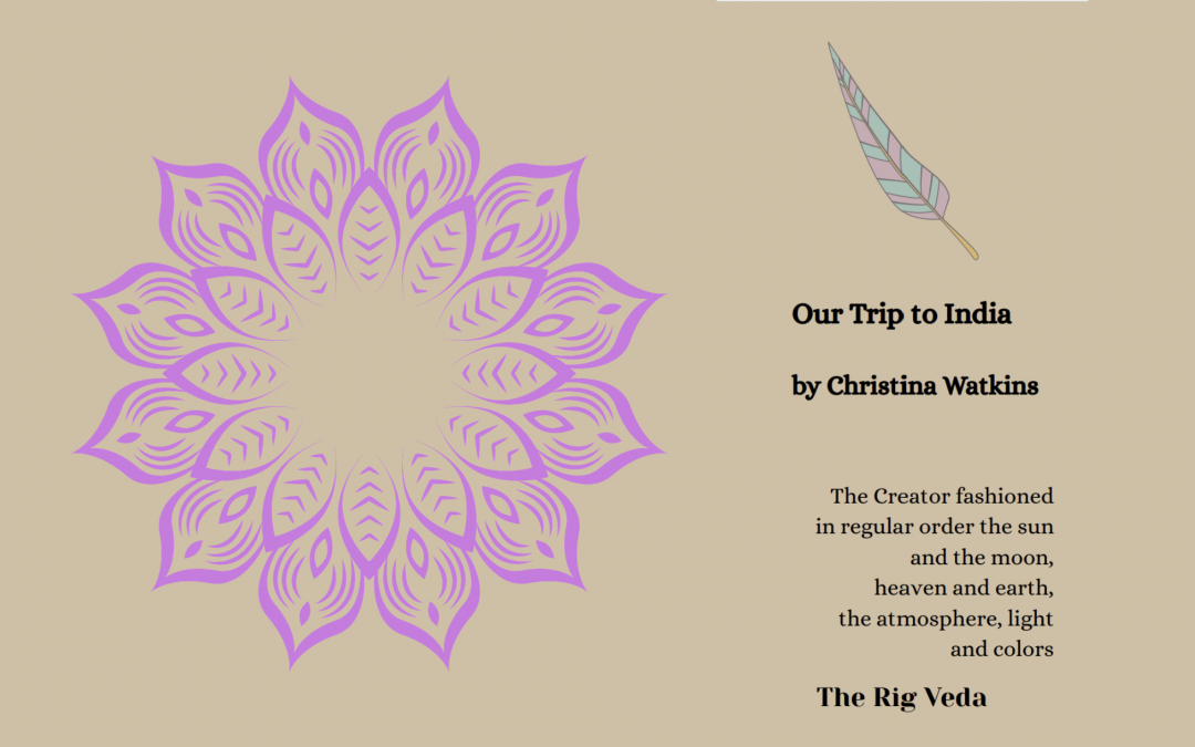 Blog Banner - Our Trip to India