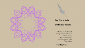 Blog Banner - Our Trip to India