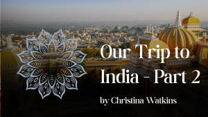Our Trip to India - Part 2