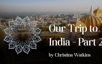 Our Trip to India – Part 2